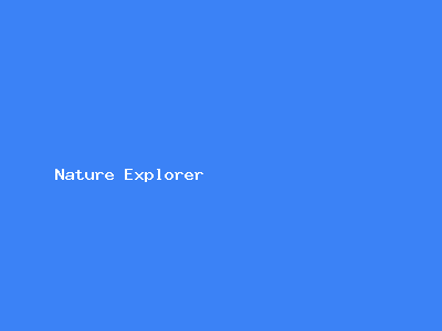 Paket Nature Explorer